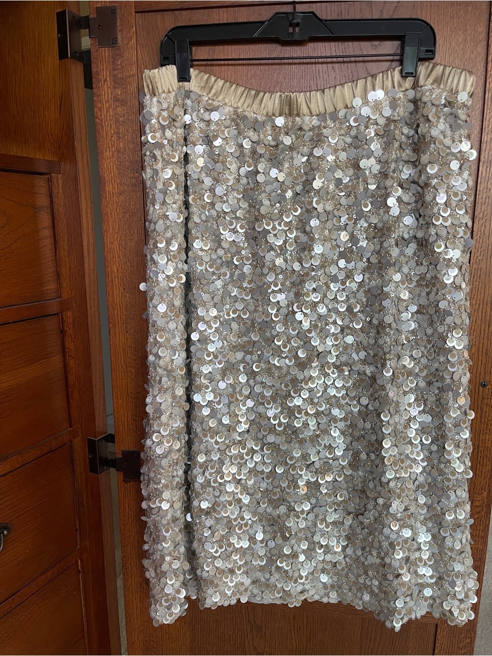 Chico's Pull on Sequin Skirt in Champagne Fizz - Picture 6 of 6